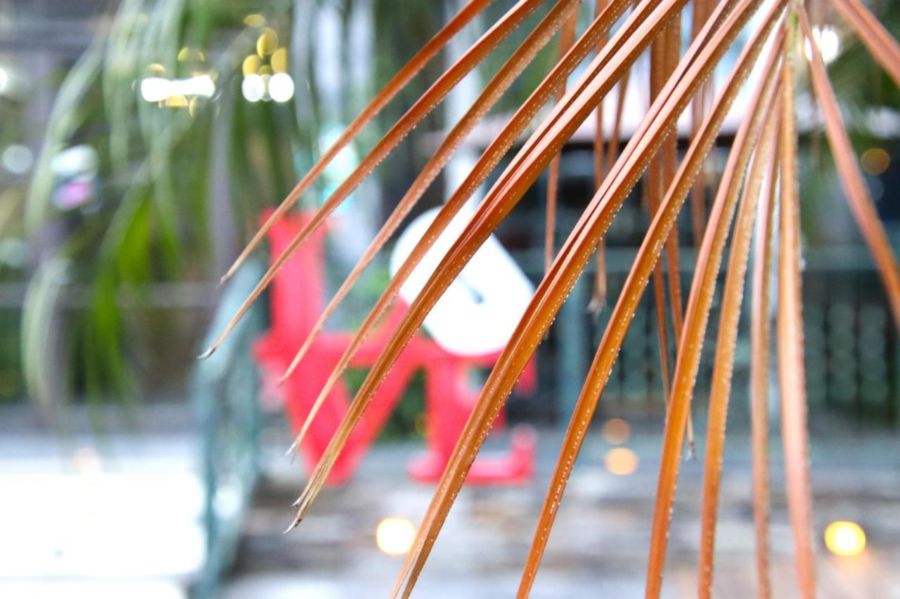 Appartamento Blue Owl-Hualien No 2396-2397-2398-2399 Esterno foto